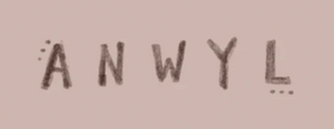Siop Anwyl